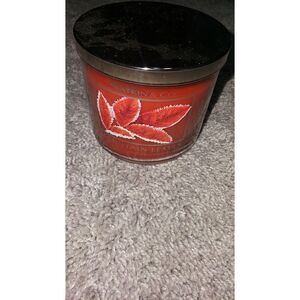 Slatkin&Co. 3-Wick Mountain Leaves Candle‎ RARE